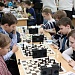 «Стрижи» за шахматы